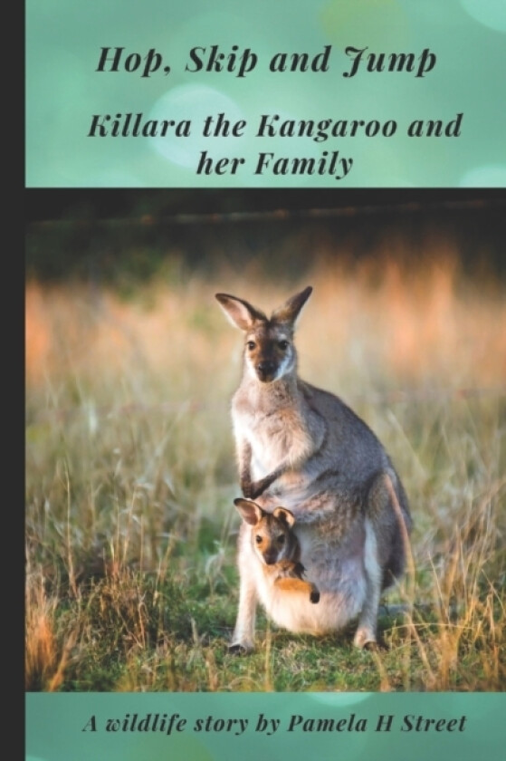 Hop, Skip and Jump av Pamela H Street (Paperback)