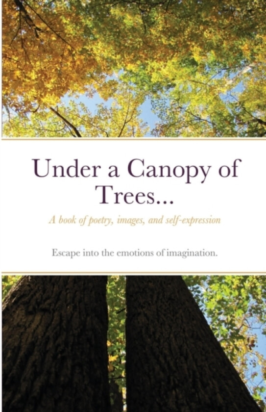 Under a Canopy of Trees... av Bernard Frank (Paperback)