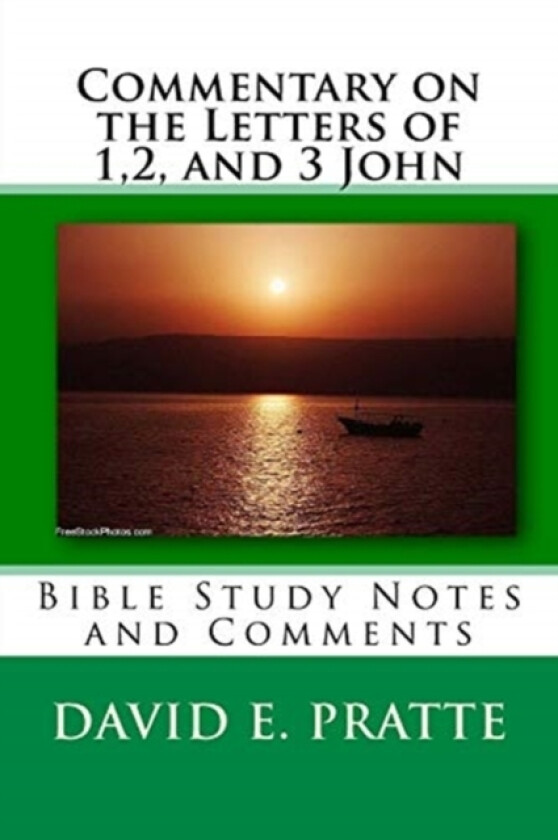 Commentary on the Letters of 1,2, and 3 John av David E Pratte (Paperback)