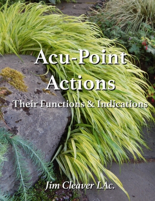 Acu-Point Actions av Cleaver LAc. Jim Cleaver LAc. (Paperback)