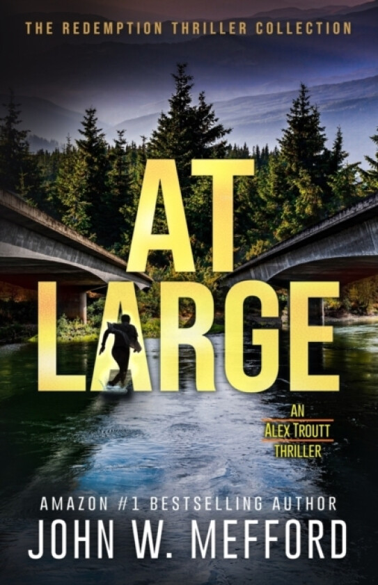 At Large av John W Mefford (Paperback)