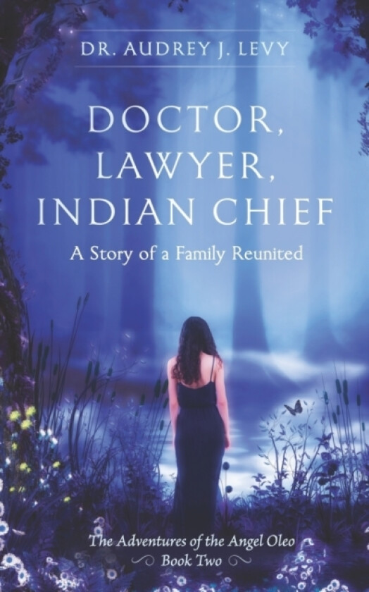 Doctor, Lawyer, Indian Chief av Audrey Levy (Paperback)