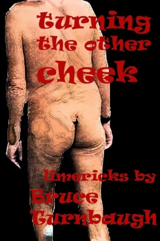 Turning the Other Cheek av Bruce Turnbaugh (Paperback)