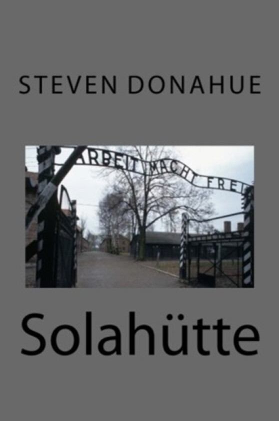 Solahutte av Steven Donahue (Paperback)