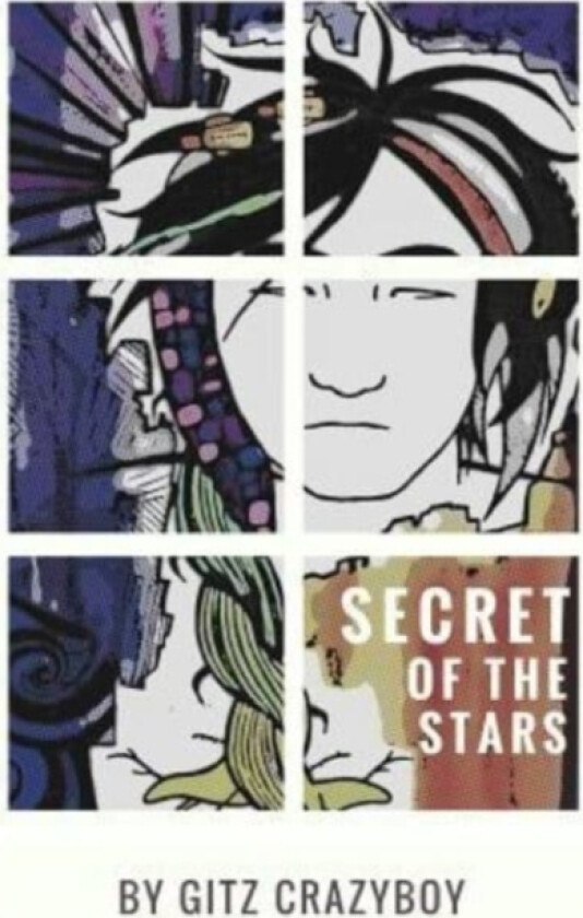 The Secret of the Stars av Gitz Crazyboy (Paperback)