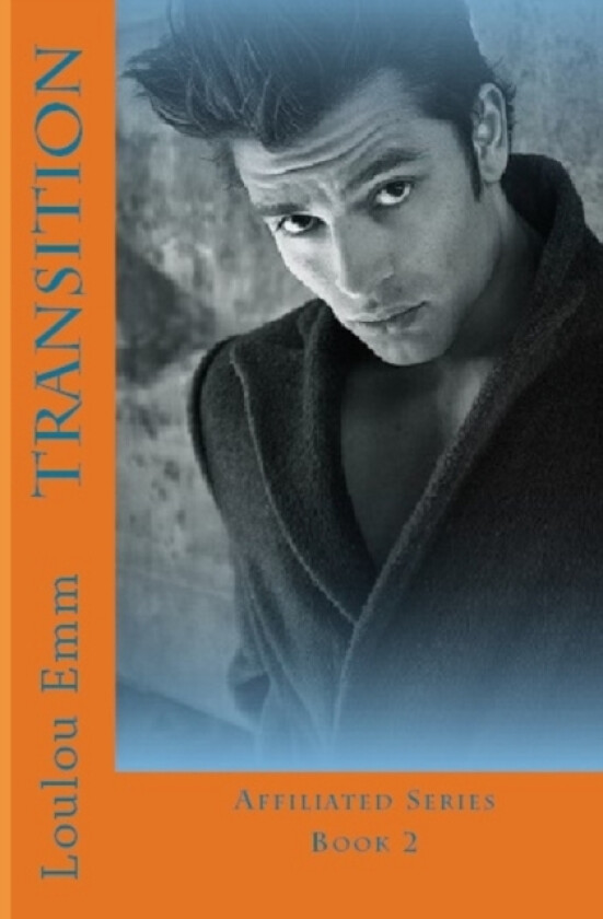 Transition av Loulou Emm (Paperback)