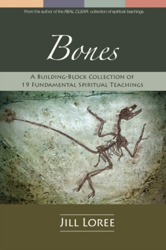 Bones av Jill Loree (Paperback)