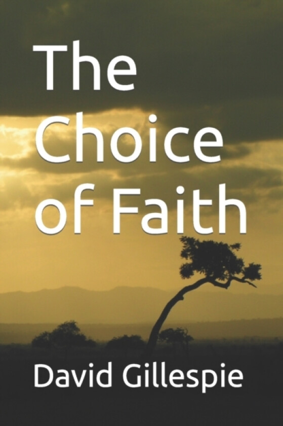 The Choice of Faith av David M Gillespie (Paperback)