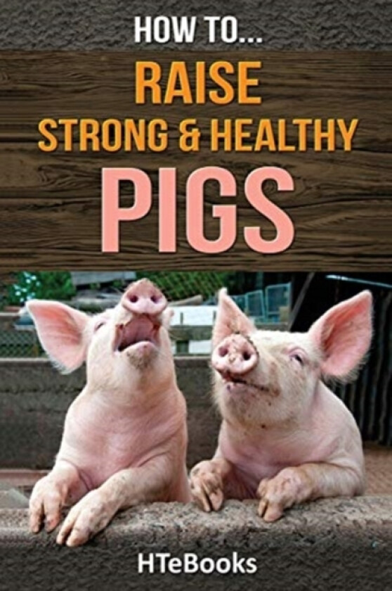 How To Raise Strong & Healthy Pigs av Htebooks (Paperback)