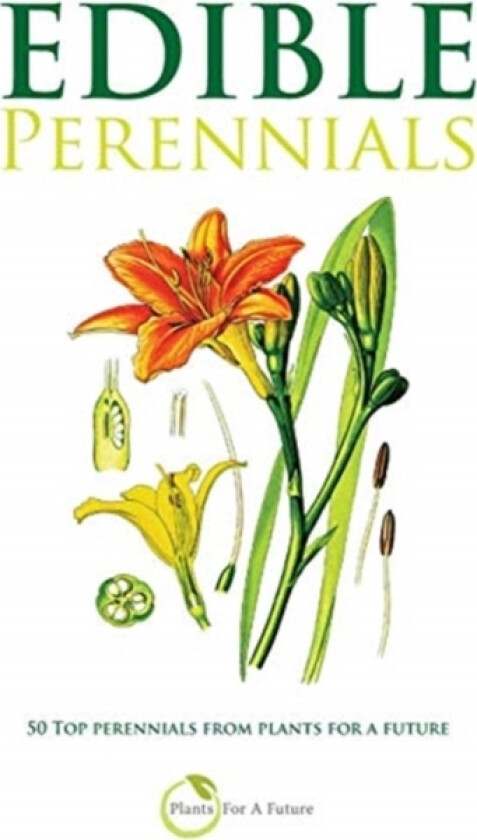 Edible Perennials av Plants for a Future (Paperback)
