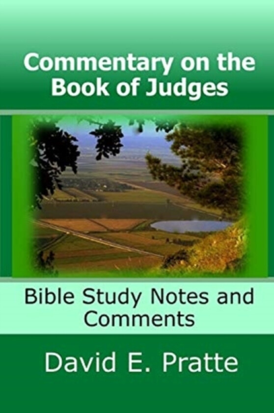 Commentary on the Book of Judges av David E Pratte (Paperback)