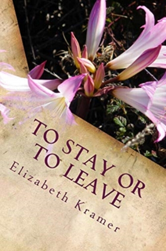 To Stay Or To Leave av Elizabeth a Kramer (Paperback)
