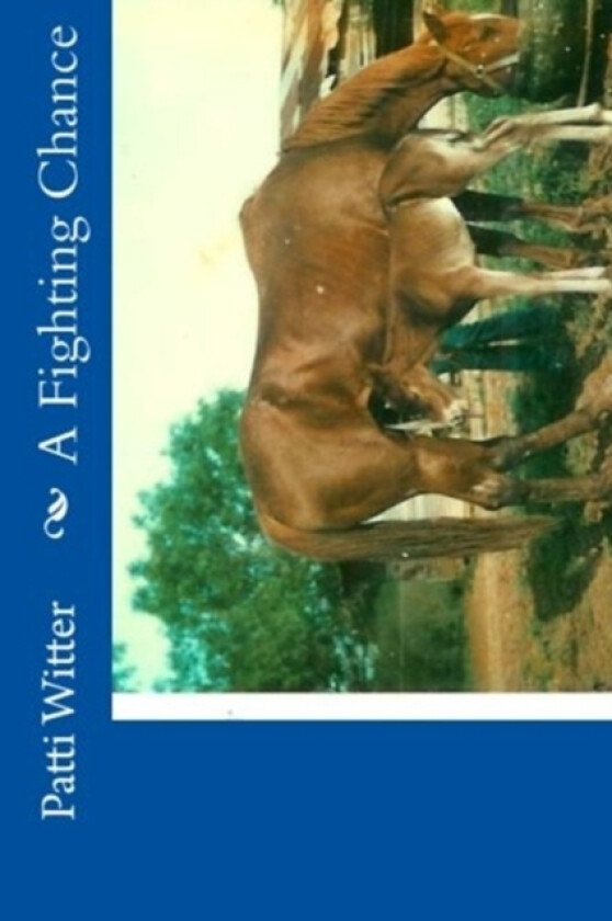 A Fighting Chance av Patti L Witter (Paperback)