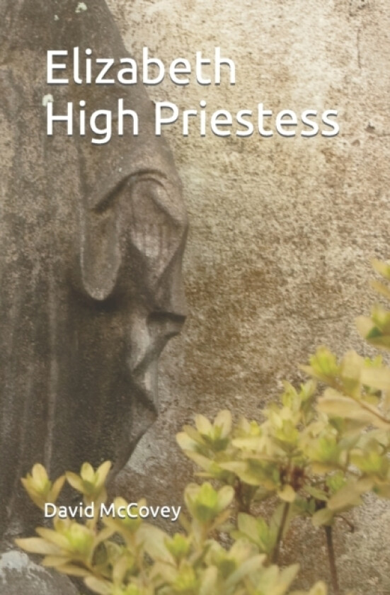 Elizabeth High Priestess av David R McCovey (Paperback)