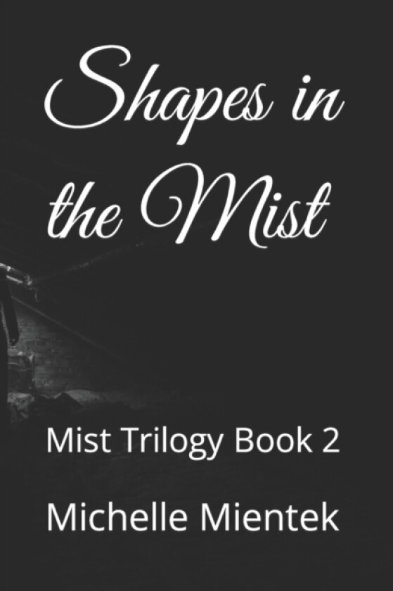 Shapes in the Mist av Michelle Mientek (Paperback)