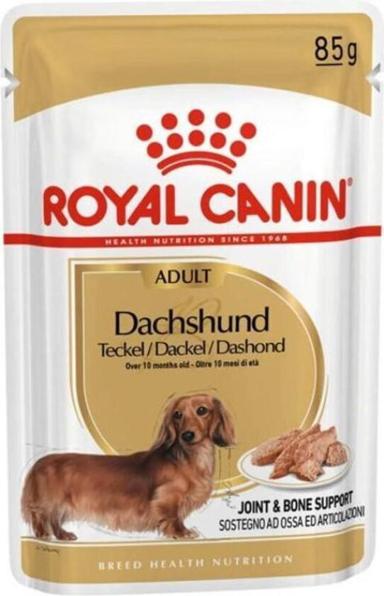 Royal Canin Tax/Dachshund Wet (12x85g)