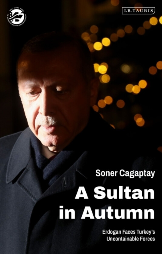 A Sultan in Autumn av Soner Cagaptay (Hardcover)