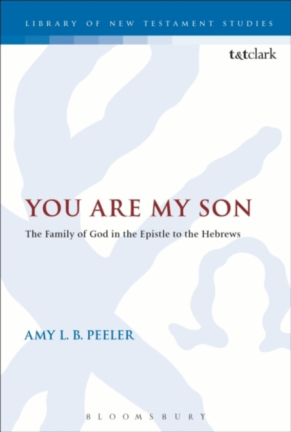 You Are My Son av Associate Professor Amy L.B. Peeler (Hardcover)
