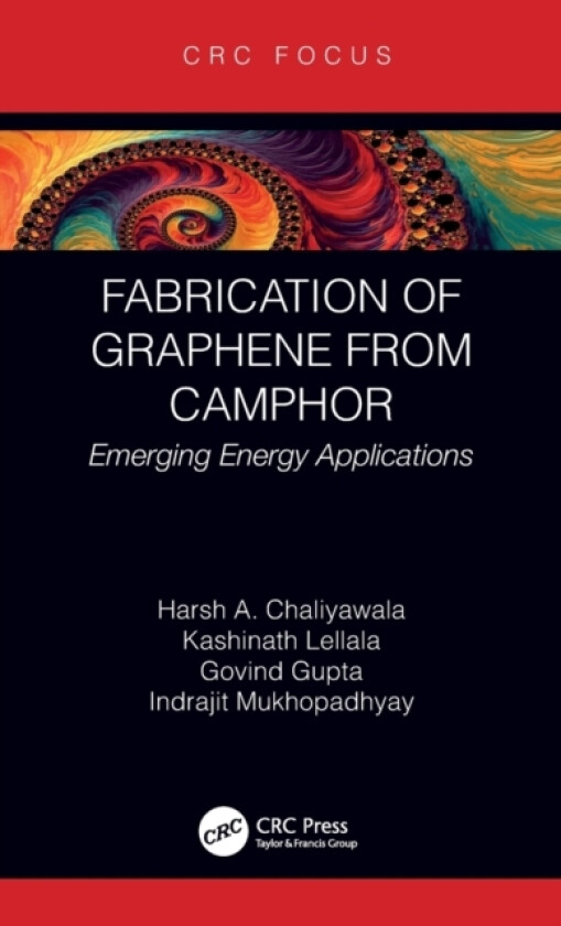Fabrication of Graphene from Camphor av Harsh Chaliyawala, Kashinath Lellala, Govind Gupta (Hardcover)