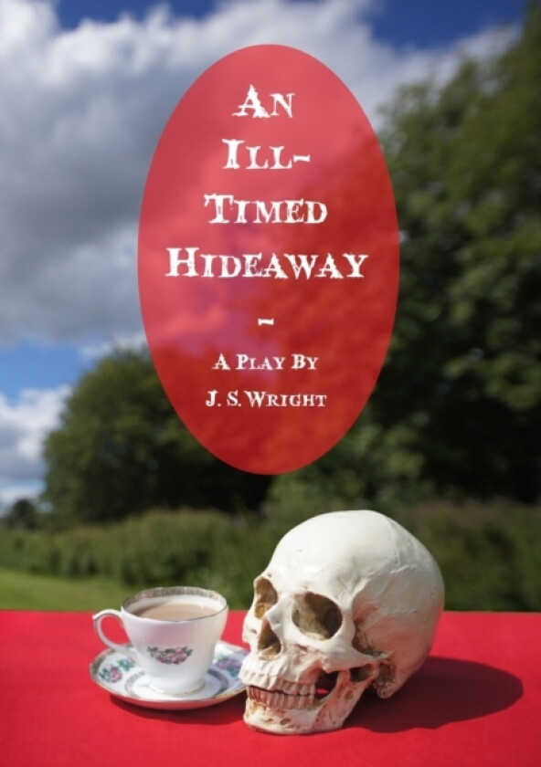 An Ill-Timed Hideaway av Junior Research Fellow Julian Wright (Paperback)