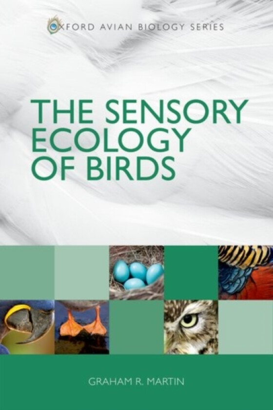The Sensory Ecology of Birds av Graham R. Martin (Paperback)
