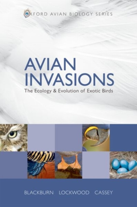 Avian Invasions av Tim M. Blackburn, Julie L. Lockwood, Phillip Cassey (Hardcover)