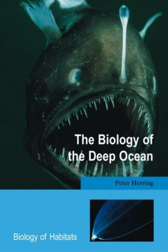 The Biology of the Deep Ocean av Peter Herring (Paperback)