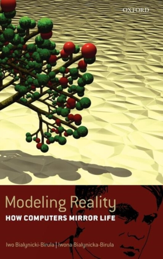 Modeling Reality av Iwo Bialynicki-Birula, Iwona Bialynicka-Birula (Hardcover)
