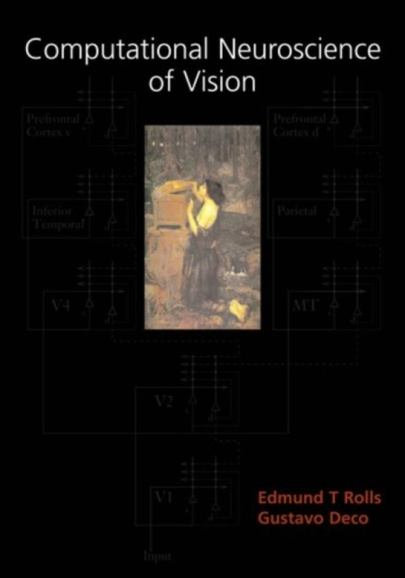 Computational Neuroscience of Vision av Edmund Rolls, Gustavo Deco (Paperback)