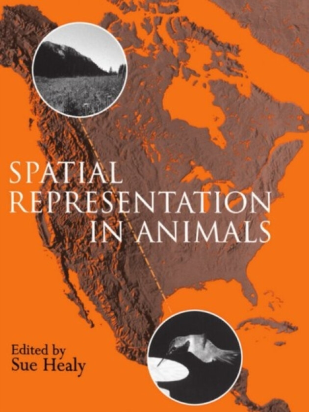 Spatial Representation in Animals av Healy (Paperback)
