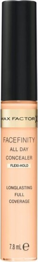 Facefinity All Day Concealer 20 Light