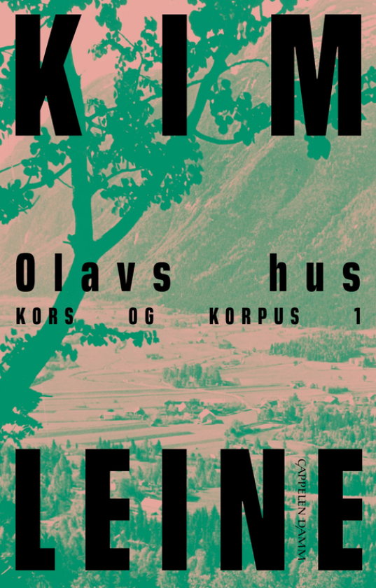 Olavs hus
