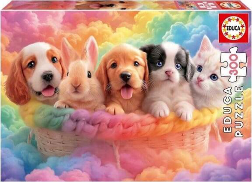 300 Basket Buddies