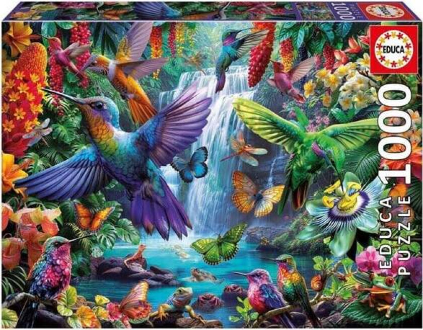 1000 Tropical Hummingbirds