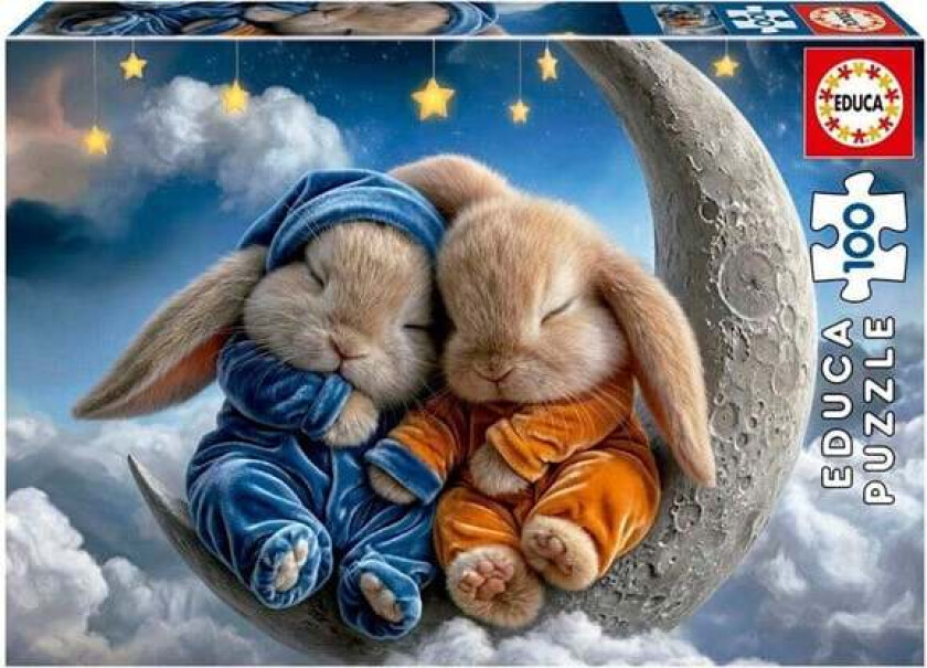 100 Bunny Dreams