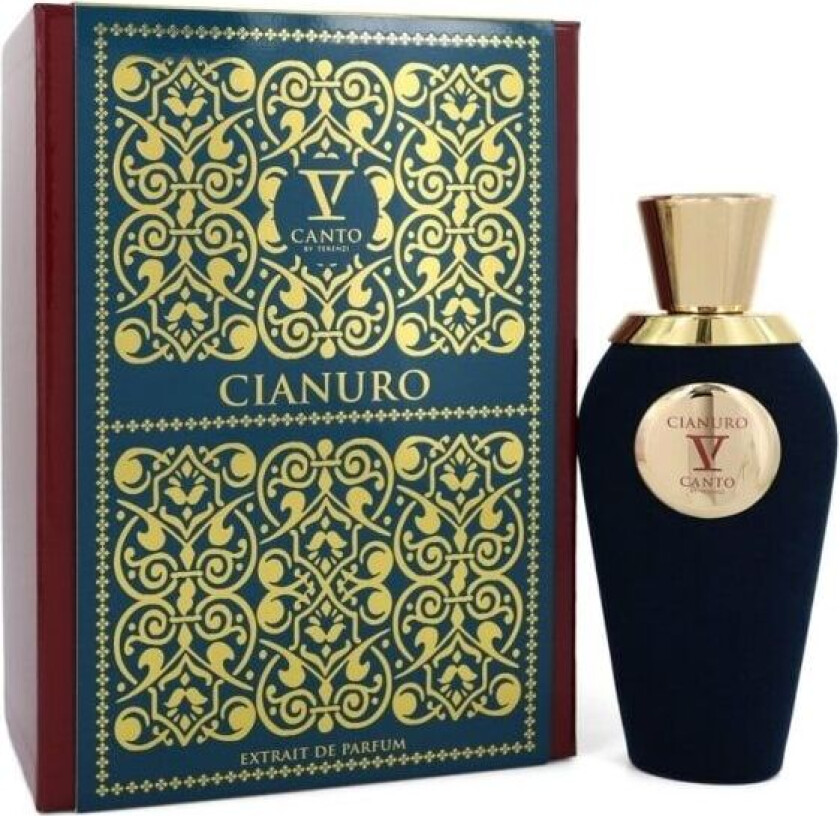 V Canto Cianuro V Extrait De Parfum Spray Unisex 100 ml for Women