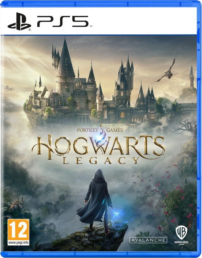 PS5 Hogwarts Legacy