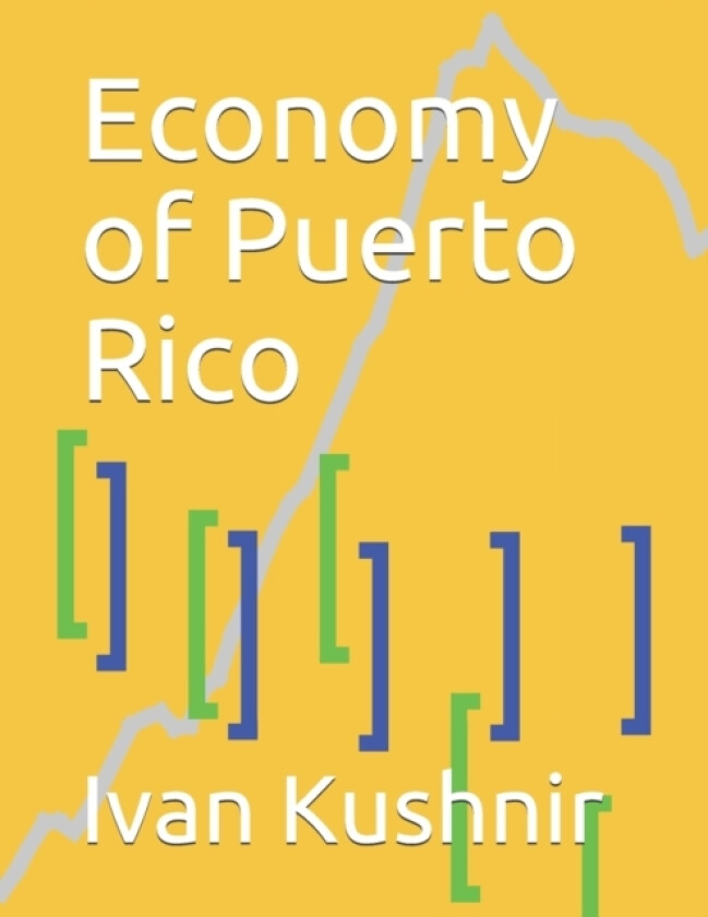 Economy of Puerto Rico av Ivan Kushnir (Paperback)