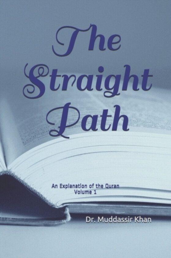 The Straight Path av Dr Muddassir Khan (Paperback)