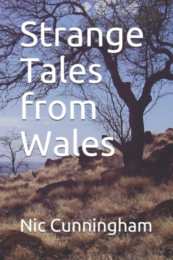 Strange Tales from Wales av Nic Cunningham (Paperback)