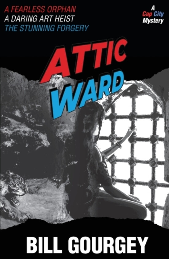 Attic Ward av Bill Gourgey (Paperback)