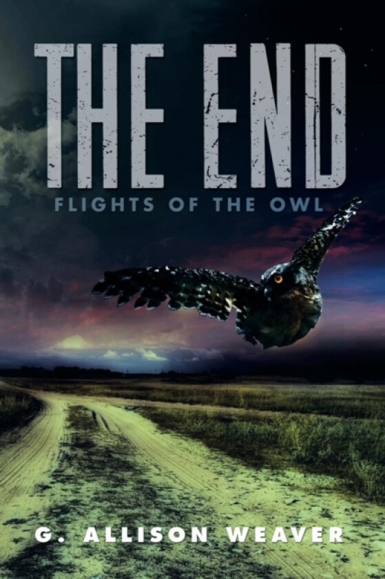 The End av G Allison Weaver (Paperback)