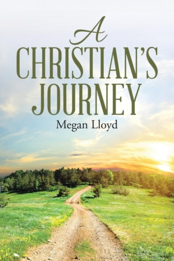 A Christian's Journey av Megan Lloyd (Paperback)