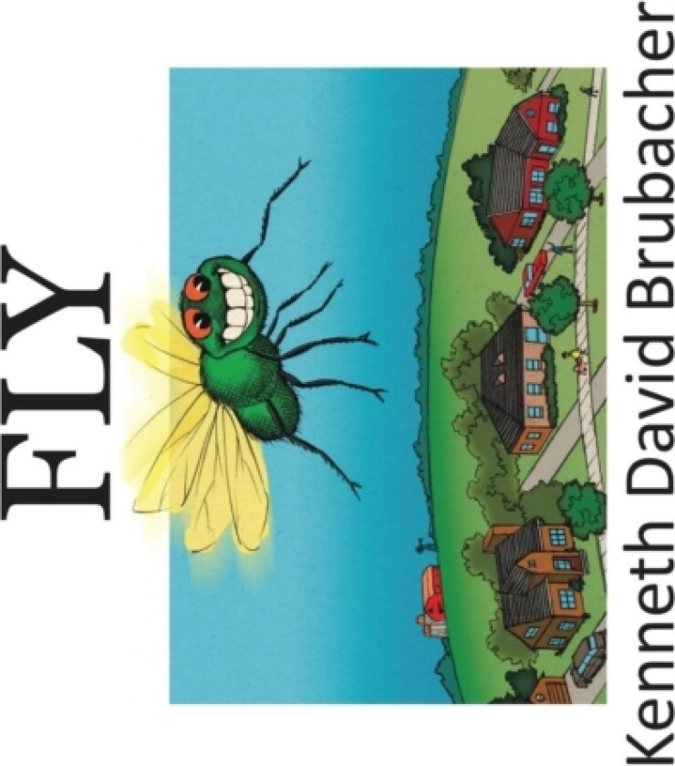 Fly av Kenneth David Brubacher (Hardcover)