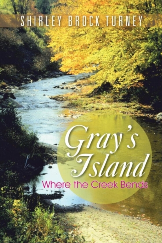 Gray's Island av Shirley Brock Turney (Paperback)