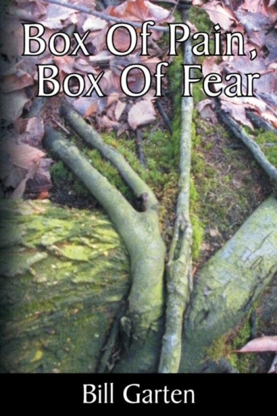 Box Of Pain, Box Of Fear av Bill Garten (Paperback)