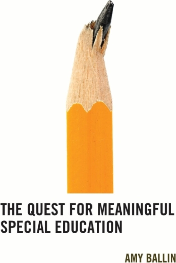 The Quest for Meaningful Special Education av Amy Ballin (Hardcover)