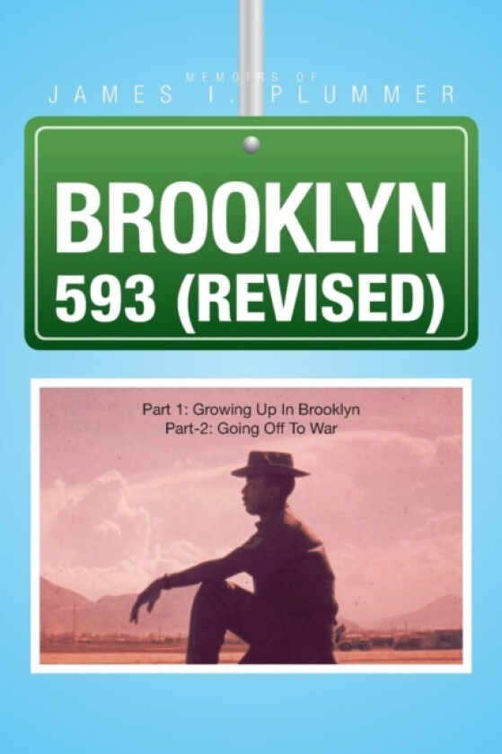 Brooklyn 593 (Revised) av James I Plummer (Paperback)