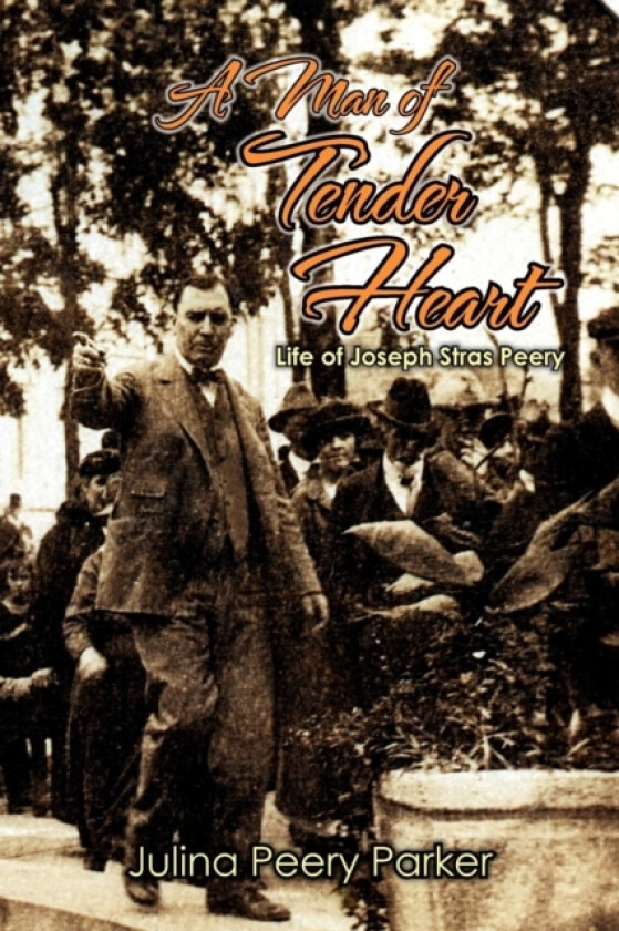 A Man of Tender Heart av Julina Peery Parker (Paperback)
