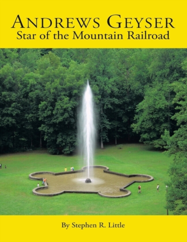 Andrews Geyser av Stephen R Little (Paperback)
